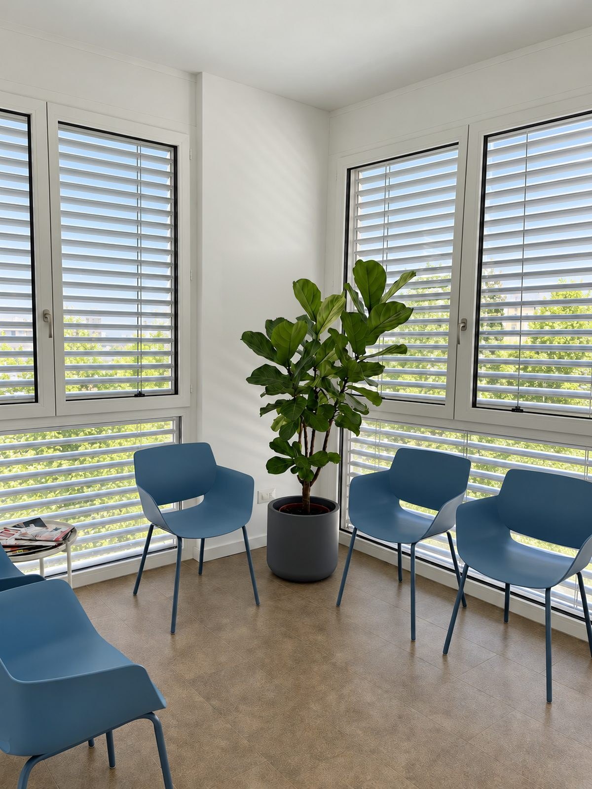 The waiting room with the blue chairs and the plant by the window
